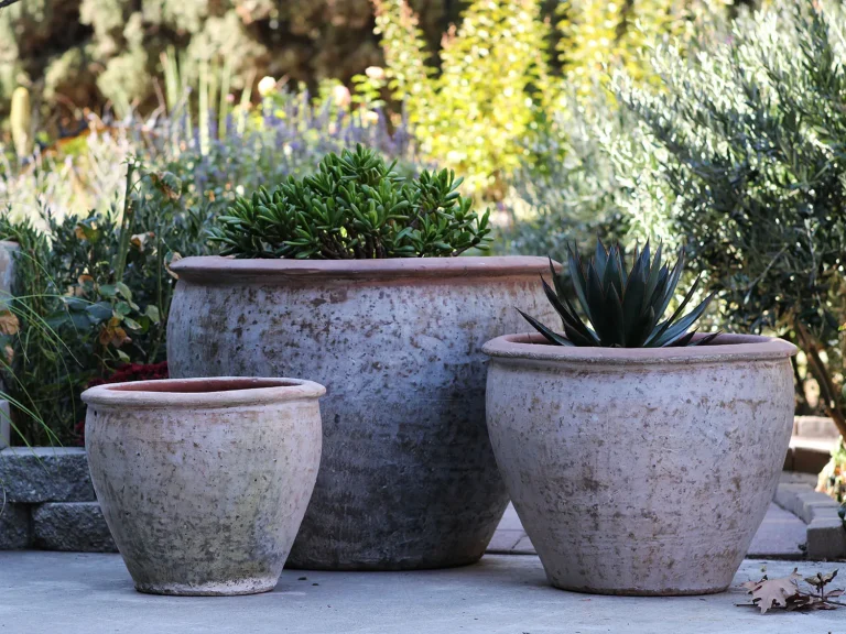 Rounded Rim Parco Planter: Set of 3, Heirloom White