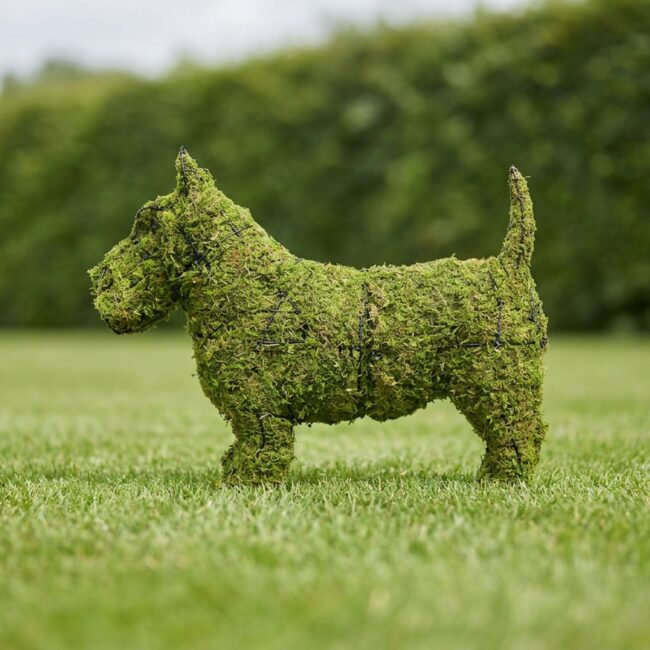 Scottie Topiary, 18 in (Mossed)