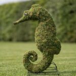 Seahorse Topiary, 24 in (Mossed)