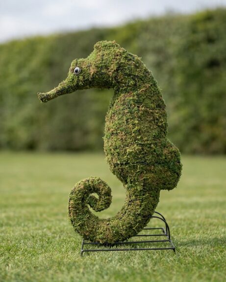 Seahorse Topiary, 24 in (Mossed)