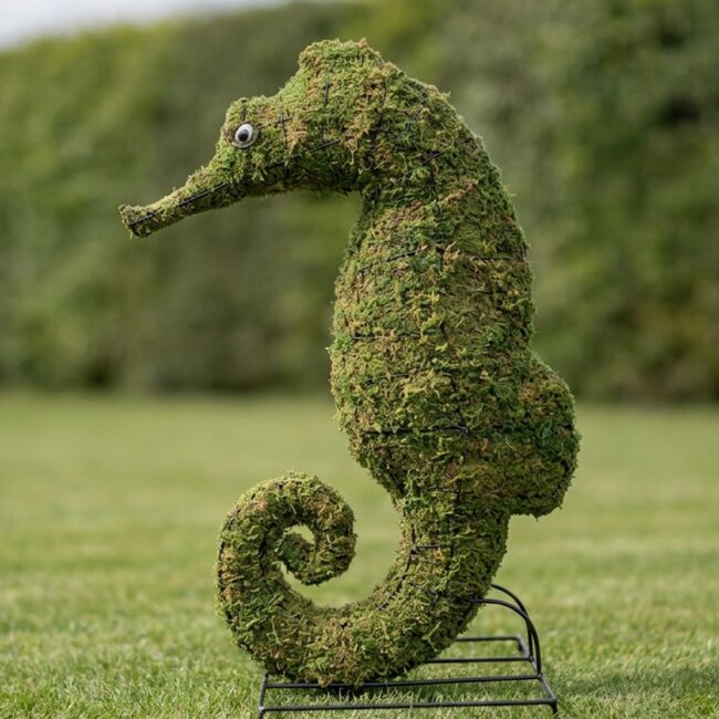 Seahorse Topiary, 24 in (Mossed)