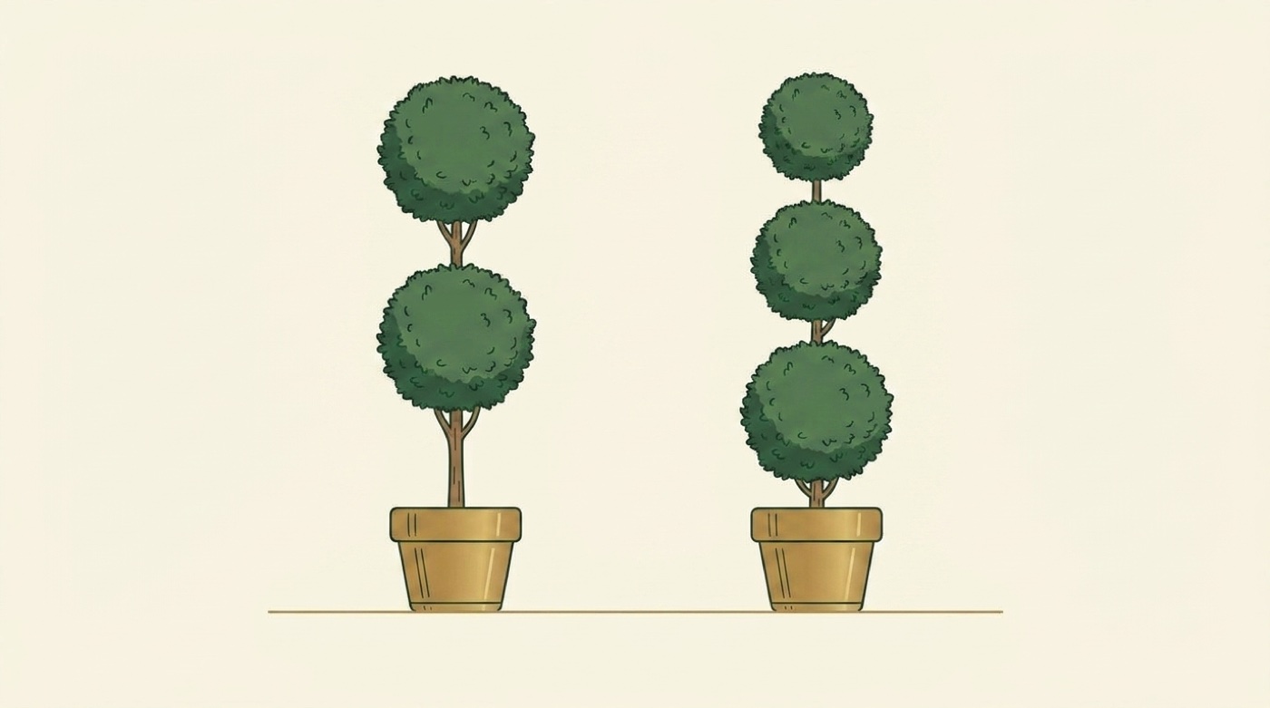 Double and triple ball topiary side by side