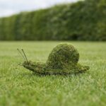 Snail Topiary, 6 Inch (Mossed)