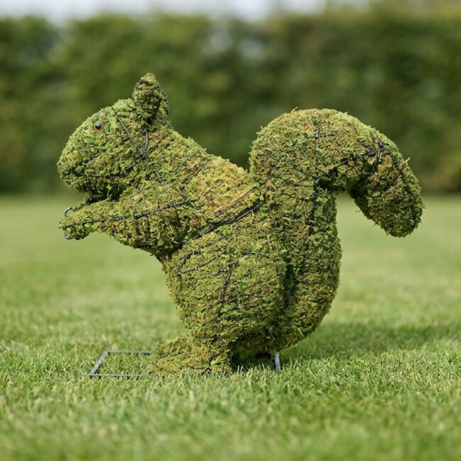 Squirrel Topiary, 12 inch Mossed, 12–18 in