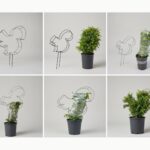 Squirrel DIY Shaping Topiary