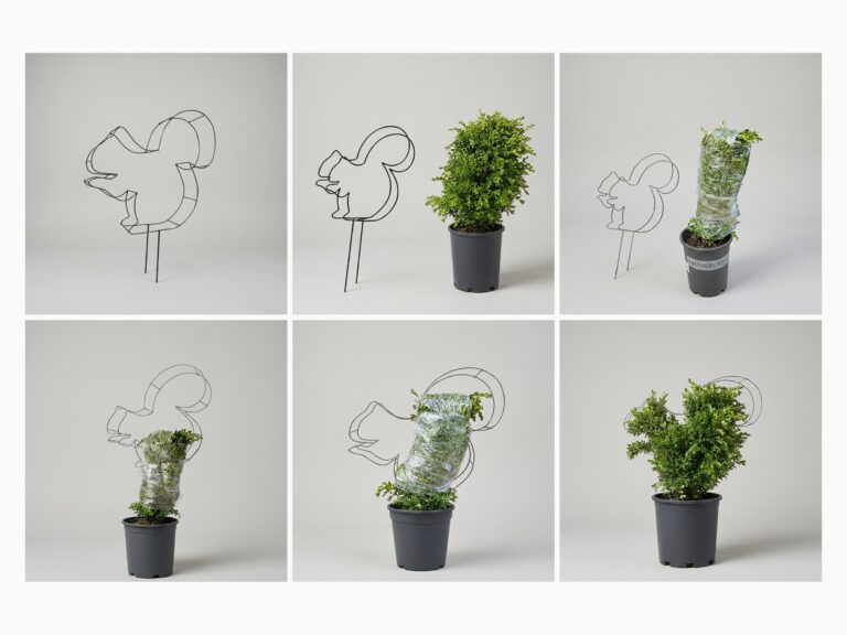 Squirrel DIY Shaping Topiary