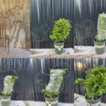 Squirrel DIY Shaping Topiary