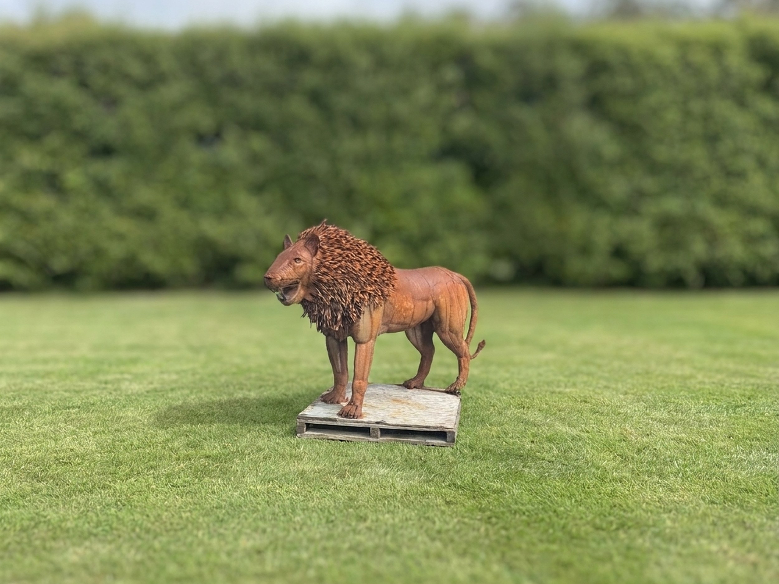 Standing Lion Sculpture, Scrap Metal, Spanish Style Standing Lion Sculpture, Scrap Metal, Spanish Style