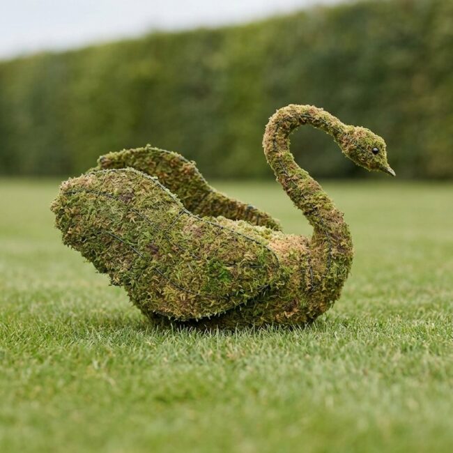 Swan Topiary, Mossed, 24 in