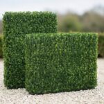 Taxus Leaf Hedge Topiary Screen, 48 in