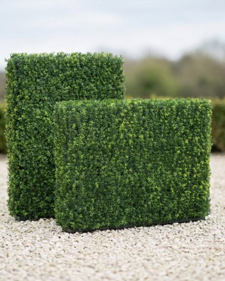 Taxus Leaf Hedge Topiary Screen, 48 in