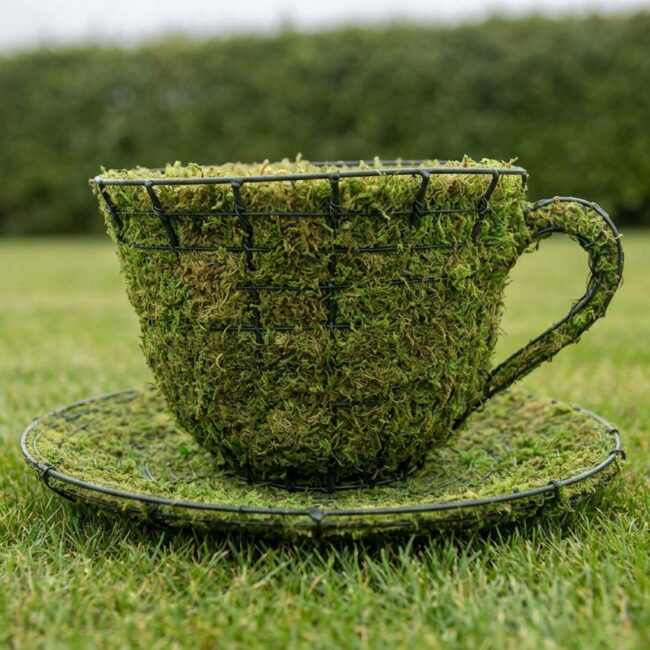 Teacup & Saucer Topiary, 6 Inch (Mossed)