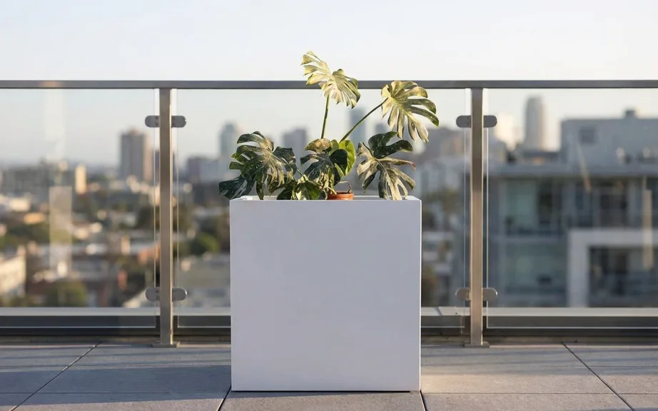 An empty white square fiberglass cube planter holding a leafy plant on a rooftop terrace with a glass railing and a city skyline behind.