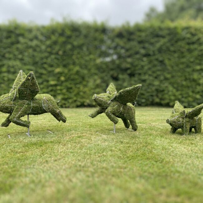 Flying Pigs Topiary, Moss Covered