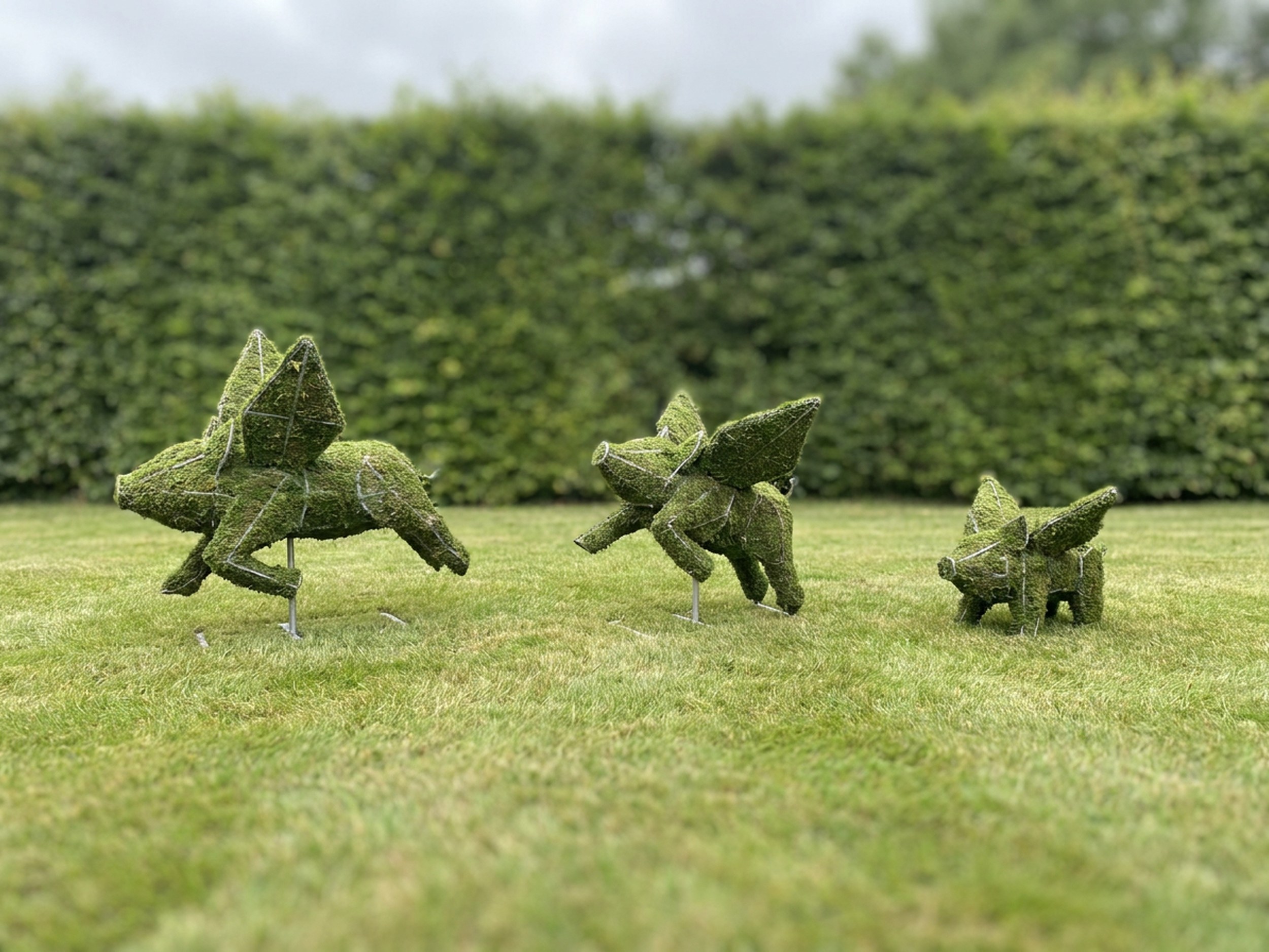 Flying Pigs Topiary, Mossed Flying Pigs Topiary, Mossed