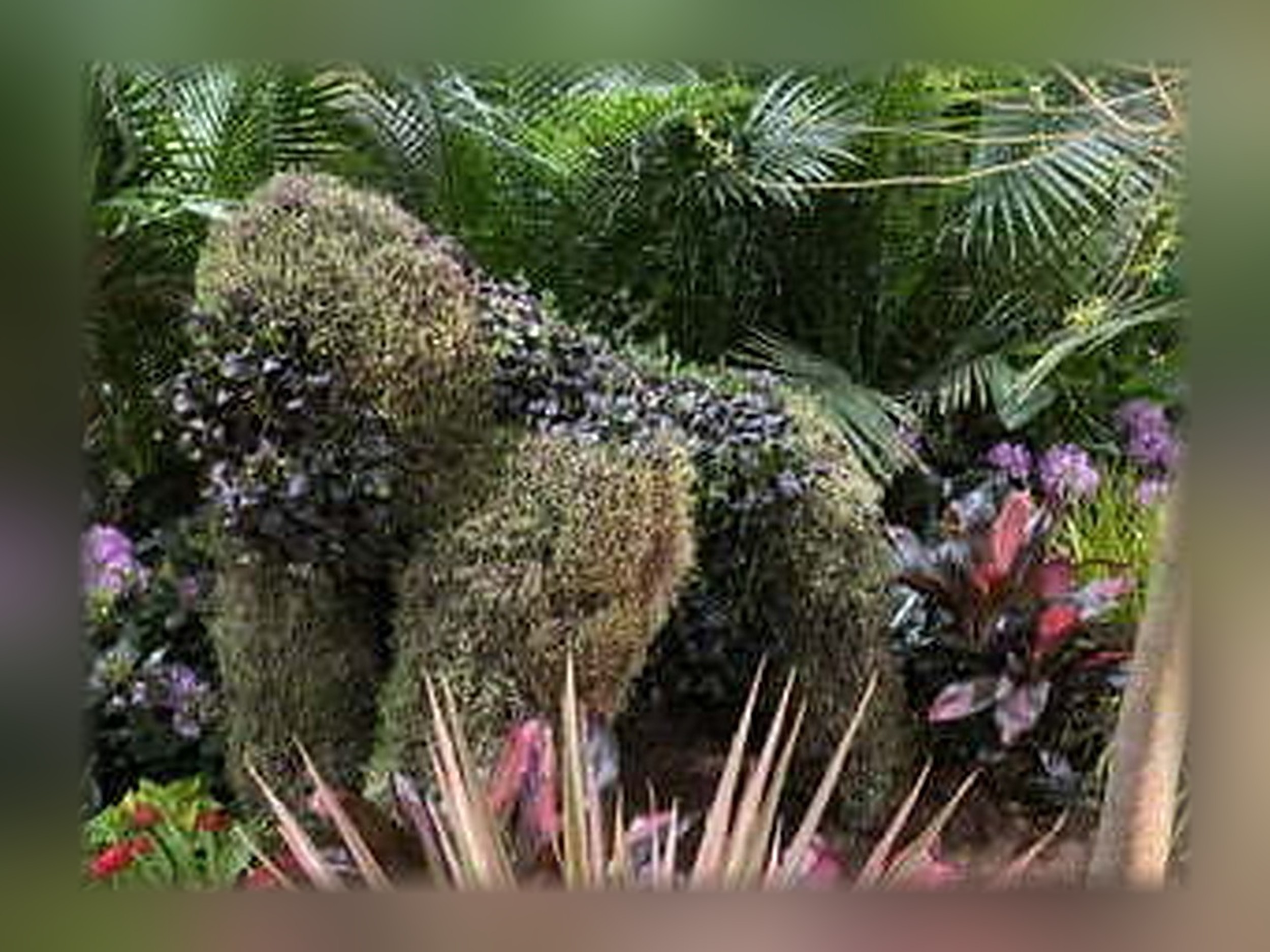 Gorilla Life-Size Topiary