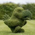 Topiary Jayhawk