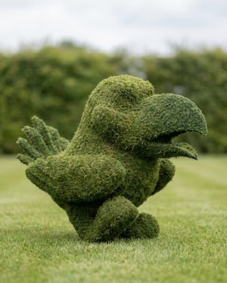 Topiary Jayhawk