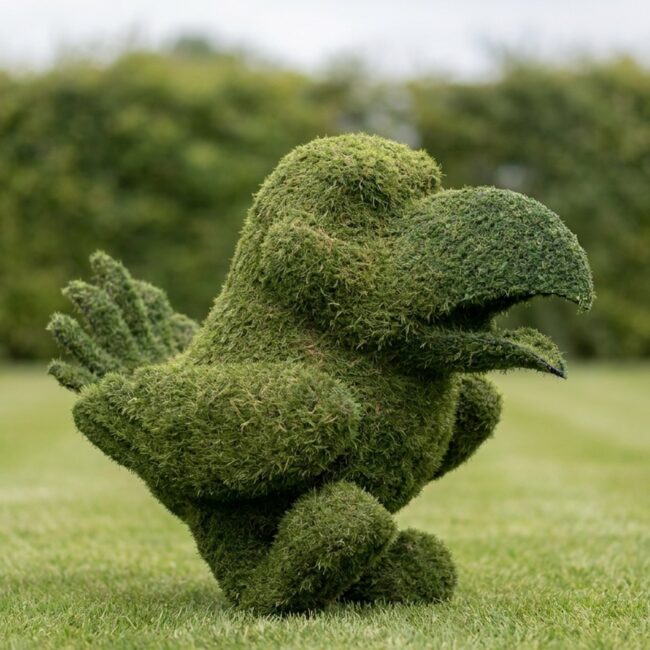 Topiary Jayhawk