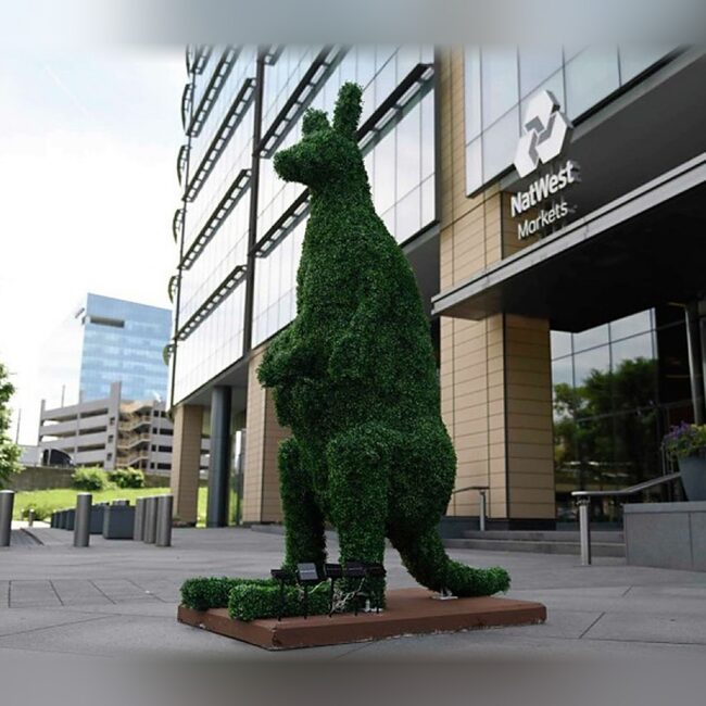 14 Foot Topiary Kangaroo & Baby Kangaroo in Carry