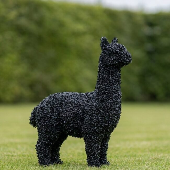 Topiary Llama in Black Outdoor Boxwood