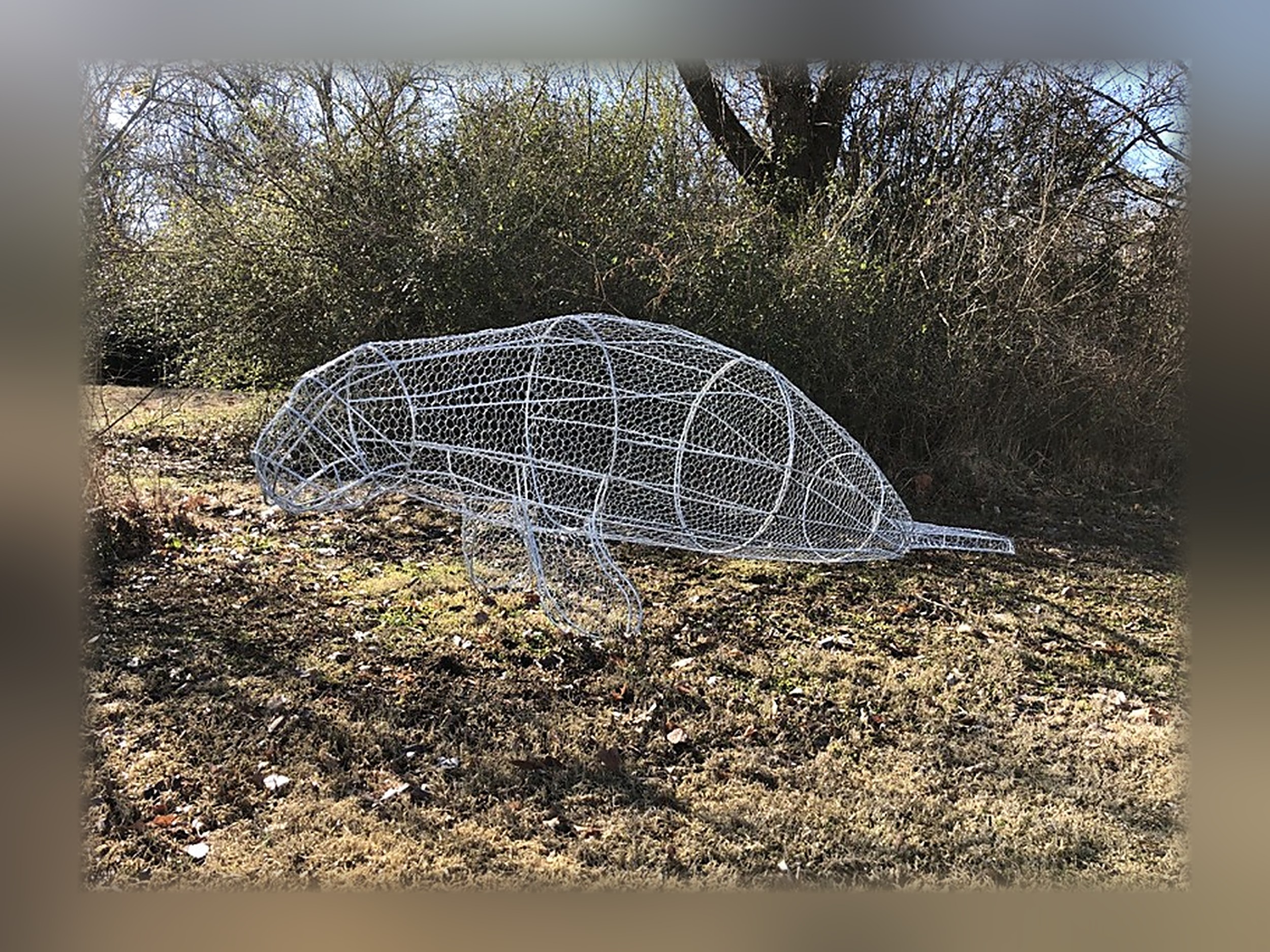 Manatee Topiary