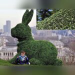 7 ft Sitting Rabbit Topiary, Made to Order
