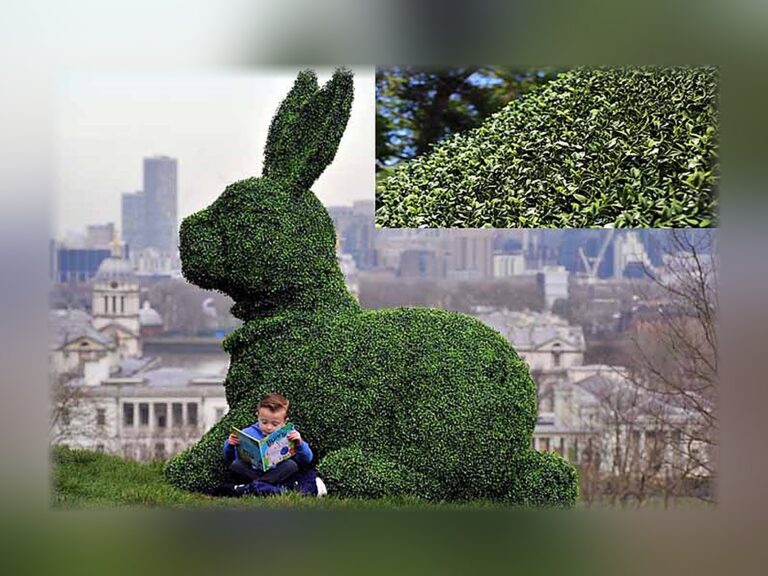 7 ft Sitting Rabbit Topiary, Made to Order