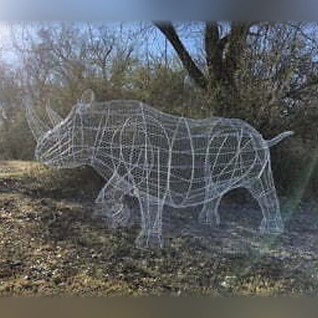 Custom Rhino Topiary