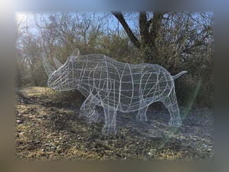 Custom Rhino Topiary