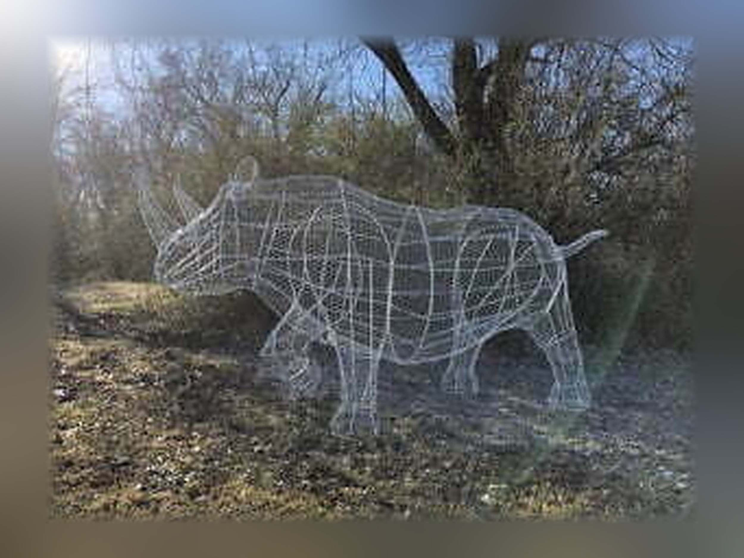 Rhino Topiary
