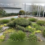 Custom Sea Turtle Topiary