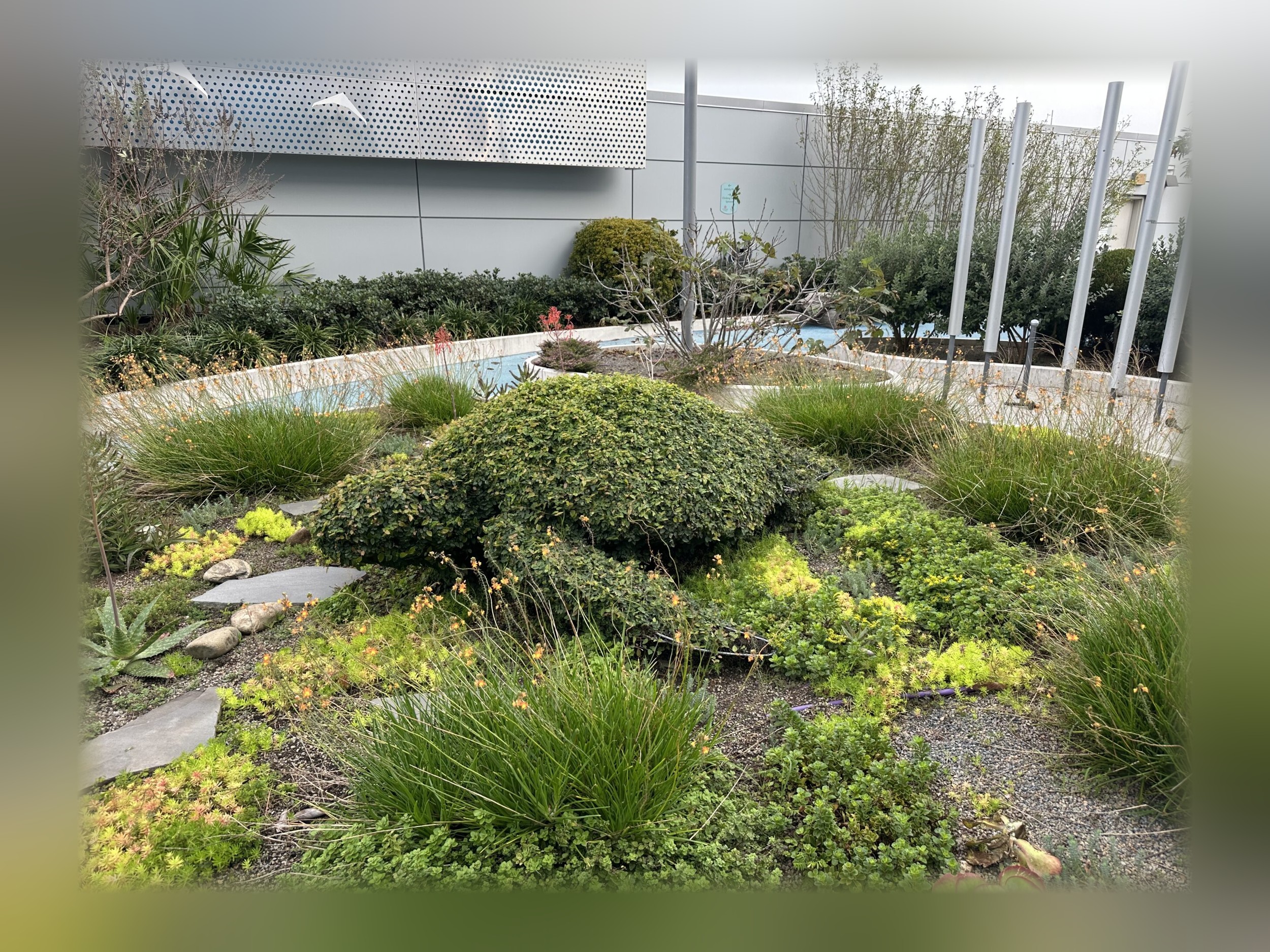 Custom Sea Turtle Topiary
