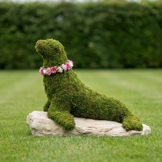 Topiary Seal, Mossed