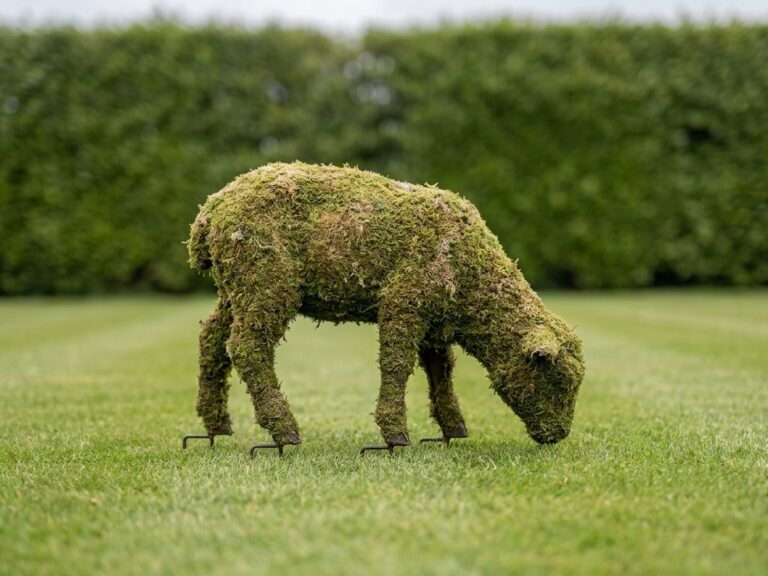 Custom Topiary Sheep, Grazing and Standing