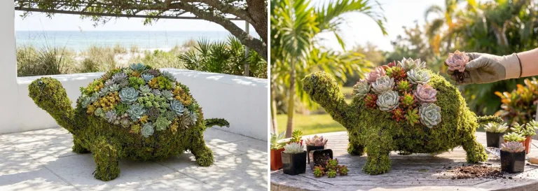 How to Plant Succulents on a Topiary Frame With Sphagnum Moss