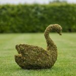 Swan Topiary, Moss Covered