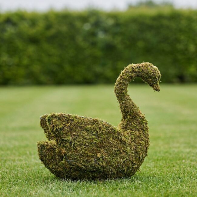 Swan Topiary, Moss Covered