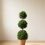 Triple Ball Boxwood Topiary, 40 in
