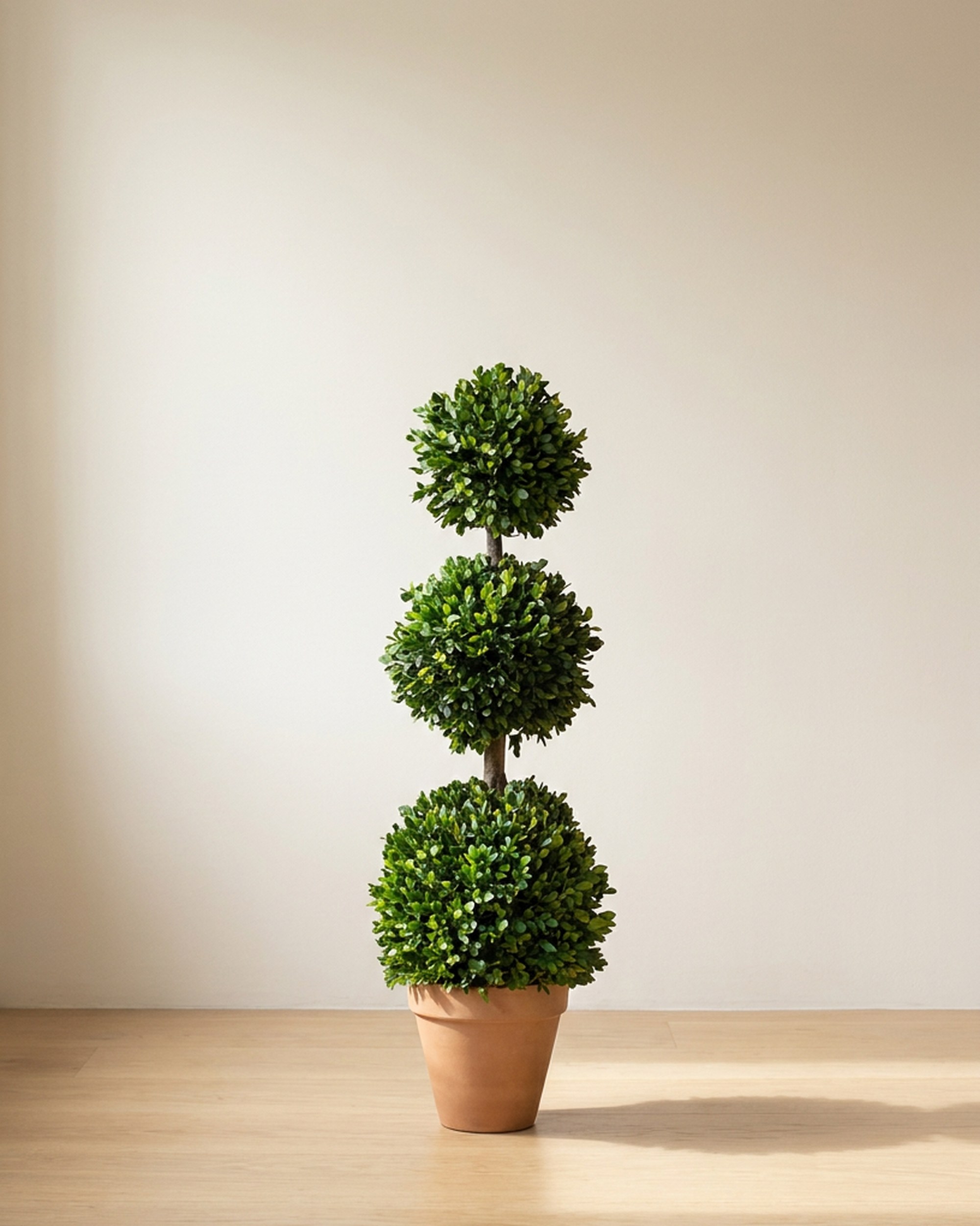 Triple Ball Boxwood Topiary, 40 in Triple Ball Boxwood Topiary, 40 in