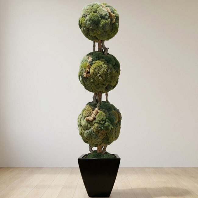 Preserved Moss Ball Topiary, 30 in