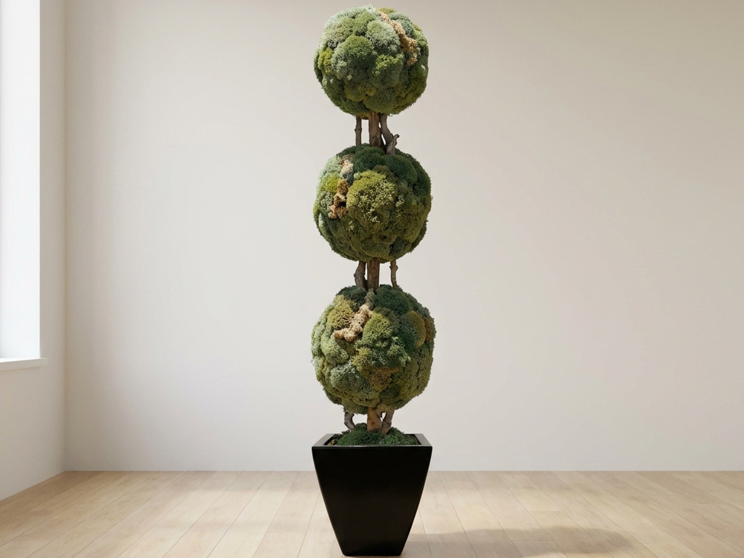 Ball Topiary, Preserved, 30 in Ball Topiary, Preserved, 30 in