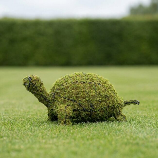 Mossed Turtle Topiary, 12 Inch