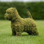 14-Inch Mossed Westie Topiary