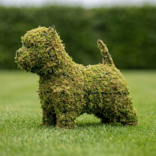 14-Inch Mossed Westie Topiary