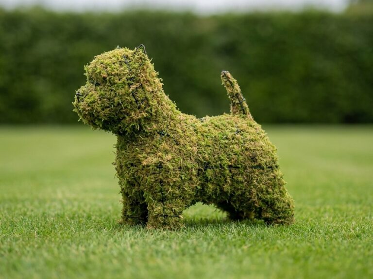 14-Inch Mossed Westie Topiary