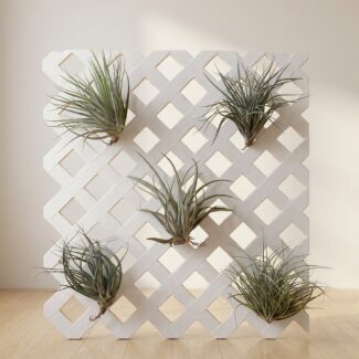 White Lattice Air Plant Display, 18 x 16 in.