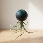 Hanging Wooden Orb Air Plant Holder