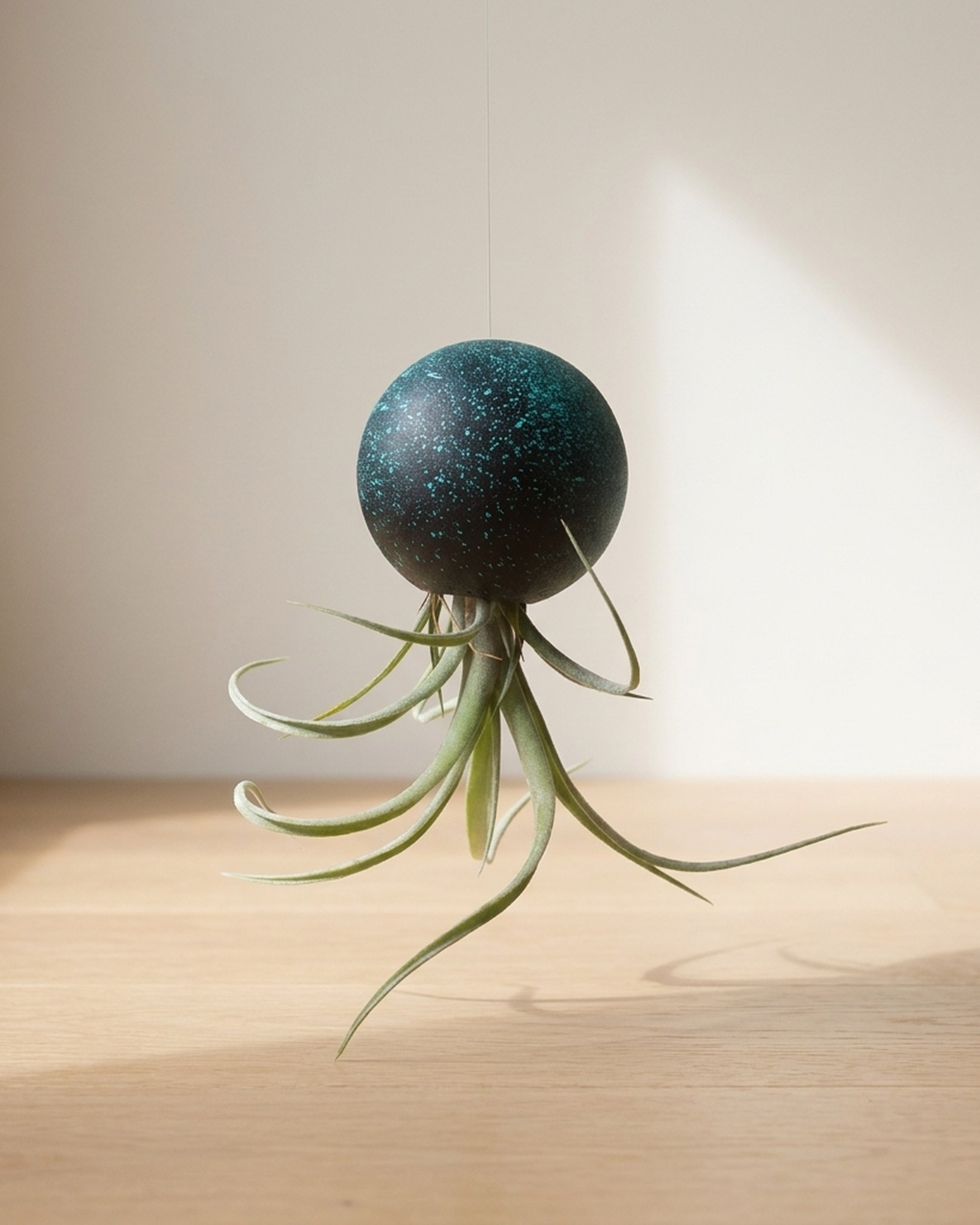 Hanging Wooden Orb Air Plant Holder Hanging Wooden Orb Air Plant Holder