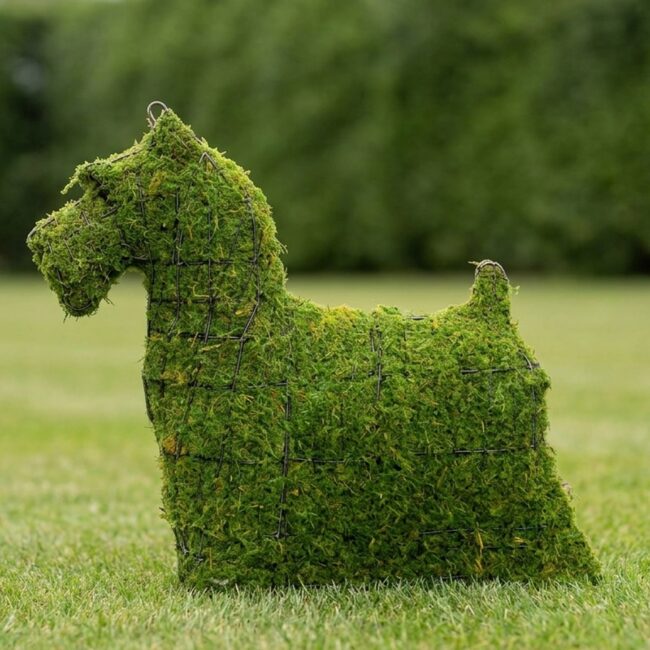 Yorkie Topiary, 15 Inch (Mossed)